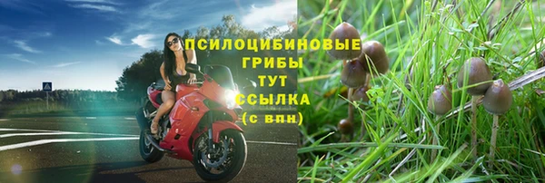 Альфа ПВП Снежинск