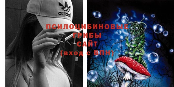 винт Богданович