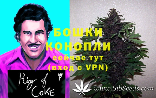 дживик Богородск