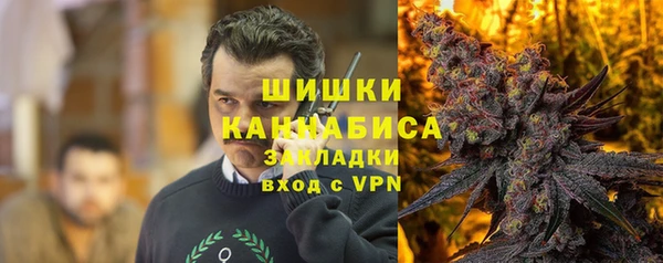 дживик Богородск