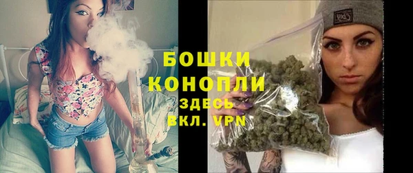 мдпв Богородицк