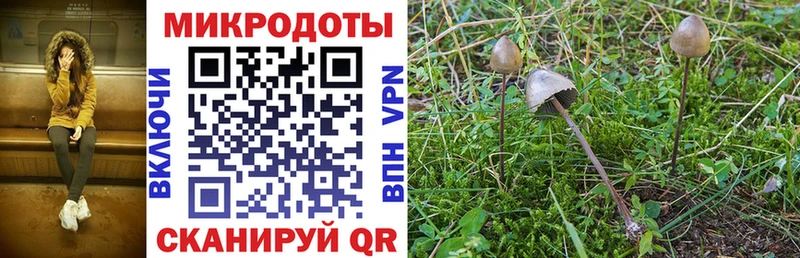 Галлюциногенные грибы ЛСД  Будённовск 