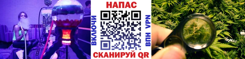 где купить   Будённовск  Бошки Шишки Amnesia 